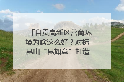 自贡高新区营商环境为啥这么好？对标昆山“昆如意”打造自贡“高兴办”｜美好生活有“盐”味
