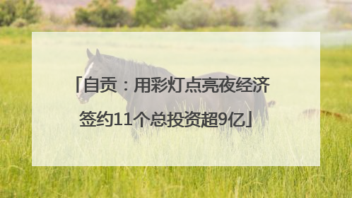 自贡：用彩灯点亮夜经济 签约11个总投资超9亿