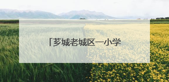 芗城老城区一小学两个校区将调整！