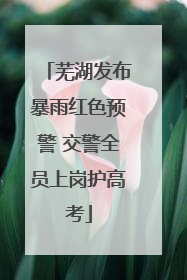芜湖发布暴雨红色预警 交警全员上岗护高考