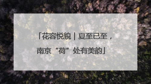 花容悦貌｜夏至已至，南京“荷”处有美韵