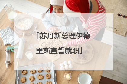 苏丹新总理伊德里斯宣誓就职