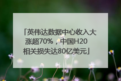 英伟达数据中心收入大涨超70%，中国H20相关损失达80亿美元