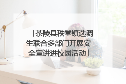 茶陵县秩堂镇选调生联合多部门开展安全宣讲进校园活动