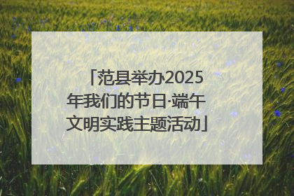 范县举办2025年我们的节日·端午文明实践主题活动