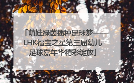 萌娃绿茵播种足球梦——LHK福宝之星第三届幼儿足球嘉年华精彩绽放