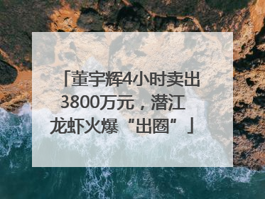 董宇辉4小时卖出3800万元，潜江龙虾火爆“出圈”