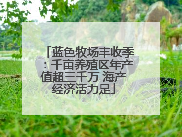 蓝色牧场丰收季：千亩养殖区年产值超三千万 海产经济活力足