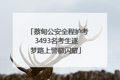 蔡甸公安全程护考 3493名考生逐梦路上警徽闪耀