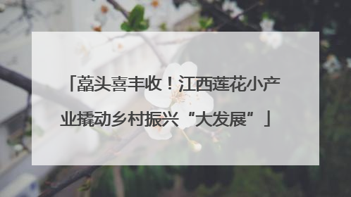 藠头喜丰收！江西莲花小产业撬动乡村振兴“大发展”