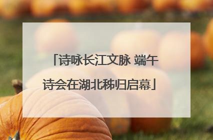 诗咏长江文脉 端午诗会在湖北秭归启幕