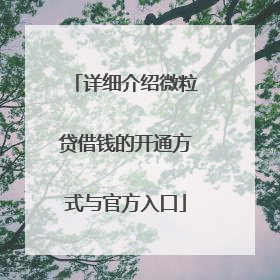 详细介绍微粒贷借钱的开通方式与官方入口