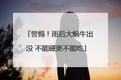 警惕！雨后大蜗牛出没 不能碰更不能吃
