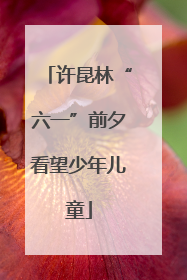 许昆林“六一”前夕看望少年儿童