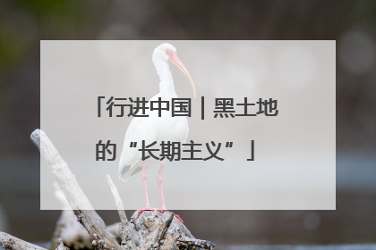 行进中国｜黑土地的“长期主义”