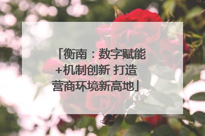 衡南：数字赋能+机制创新 打造营商环境新高地