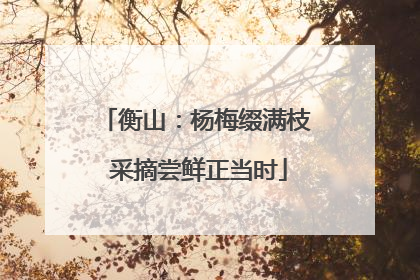 衡山：杨梅缀满枝 采摘尝鲜正当时