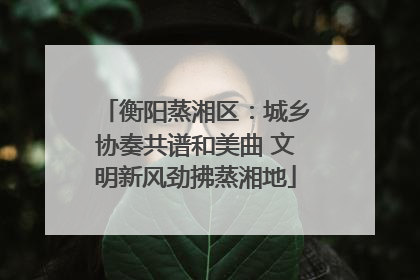 衡阳蒸湘区：城乡协奏共谱和美曲 文明新风劲拂蒸湘地