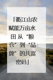 衢江山农赋能万亩水田 从“粮仓”到“品牌”的共富密码