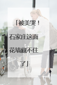 被美哭！石家庄这面花墙藏不住了