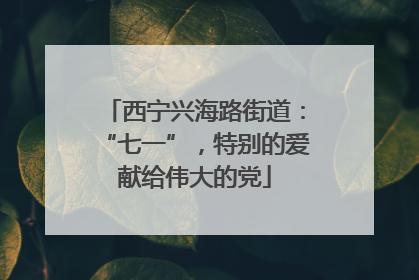 西宁兴海路街道：“七一”，特别的爱献给伟大的党