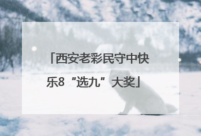 西安老彩民守中快乐8“选九”大奖