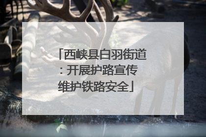 西峡县白羽街道：开展护路宣传 维护铁路安全