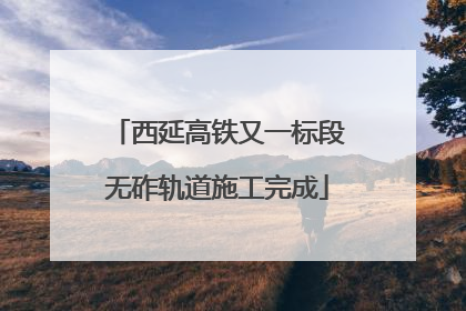 西延高铁又一标段无砟轨道施工完成