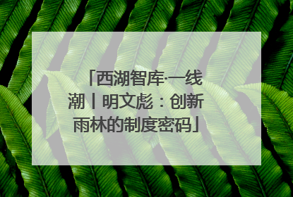 西湖智库·一线潮丨明文彪：创新雨林的制度密码