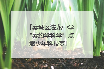 襄城区法龙中学“襄约学科学”点燃少年科技梦