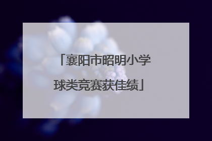 襄阳市昭明小学球类竞赛获佳绩
