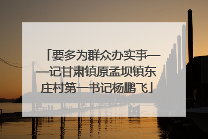 要多为群众办实事——记甘肃镇原孟坝镇东庄村第一书记杨鹏飞