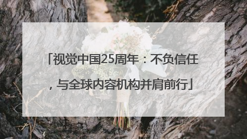 视觉中国25周年：不负信任，与全球内容机构并肩前行