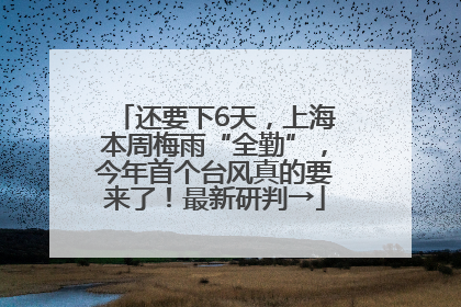 还要下6天，上海本周梅雨“全勤”，今年首个台风真的要来了！最新研判→