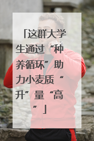 这群大学生通过“种养循环”助力小麦质“升”量“高”