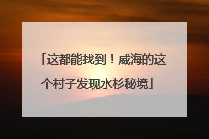 这都能找到！威海的这个村子发现水杉秘境