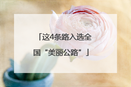 这4条路入选全国“美丽公路”