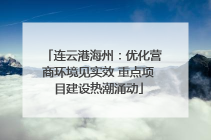 连云港海州：优化营商环境见实效 重点项目建设热潮涌动