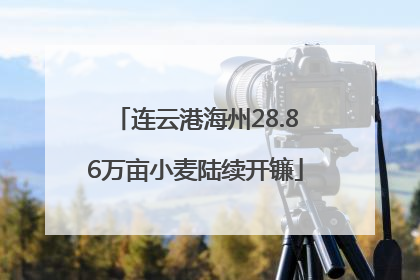 连云港海州28.86万亩小麦陆续开镰