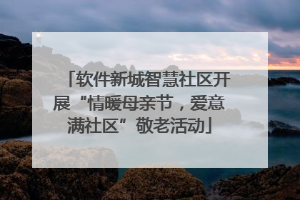 软件新城智慧社区开展“情暖母亲节，爱意满社区”敬老活动