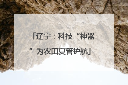 辽宁：科技“神器”为农田夏管护航