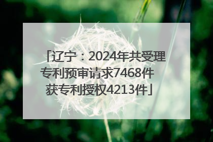 辽宁：2024年共受理专利预审请求7468件 获专利授权4213件