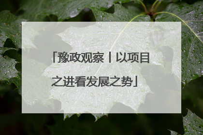 豫政观察丨以项目之进看发展之势