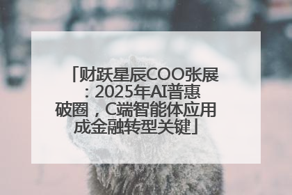 财跃星辰COO张展：2025年AI普惠破圈，C端智能体应用成金融转型关键
