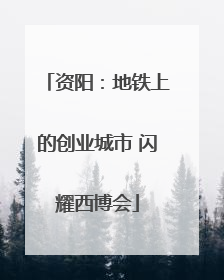 资阳：地铁上的创业城市 闪耀西博会
