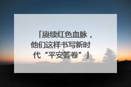 赓续红色血脉，他们这样书写新时代“平安答卷”