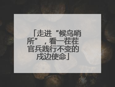 走进“候鸟哨所”，看一茬茬官兵践行不变的戍边使命
