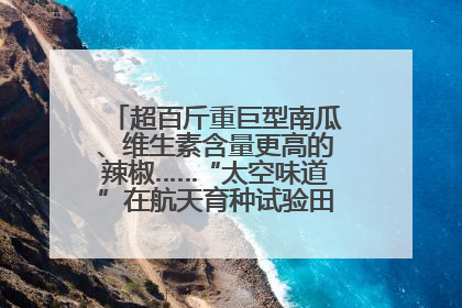 超百斤重巨型南瓜、维生素含量更高的辣椒……“太空味道”在航天育种试验田里拔节生长