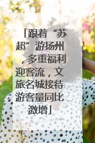 跟着“苏超”游扬州，多重福利迎客流，文旅名城接待游客量同比激增