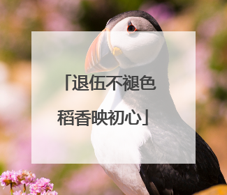 退伍不褪色 稻香映初心
